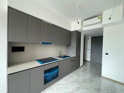 The Landmark (D3), Condominium #518839021